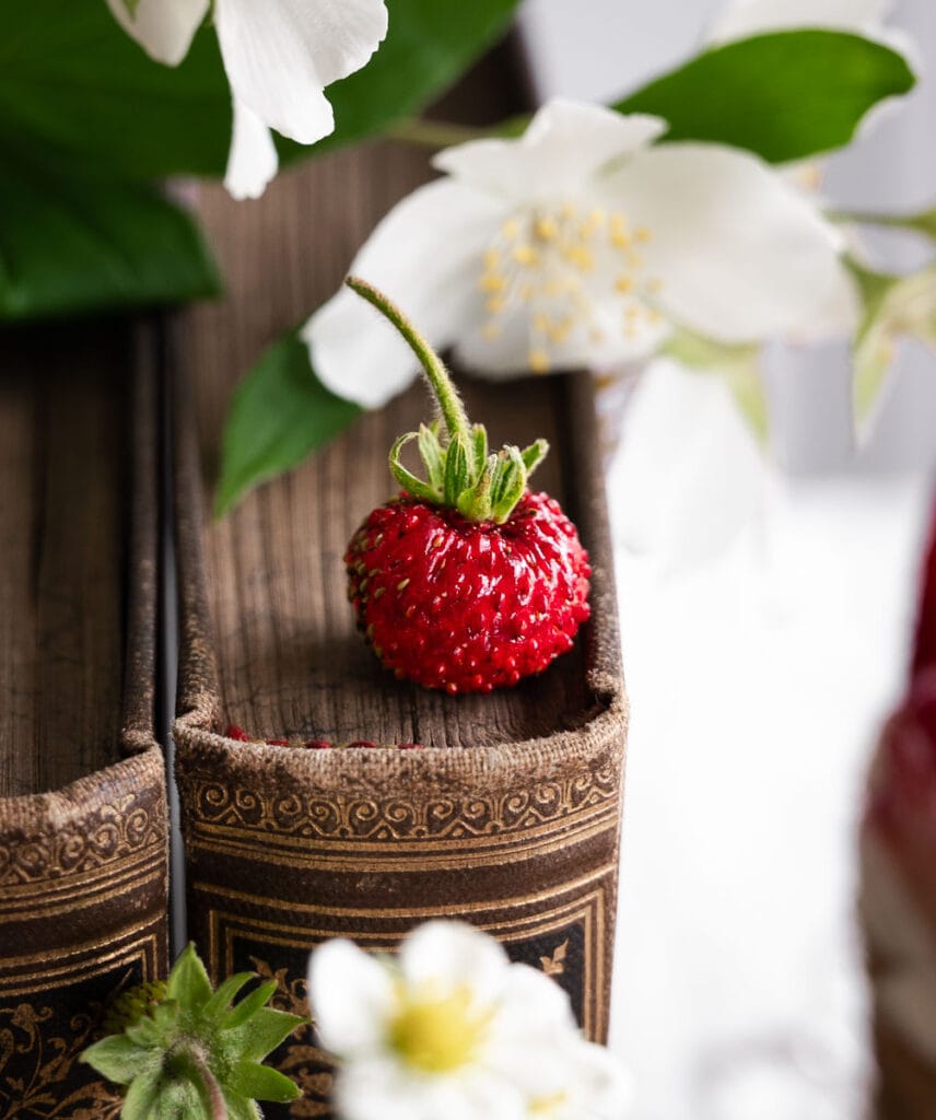 Veganer Biskuitboden