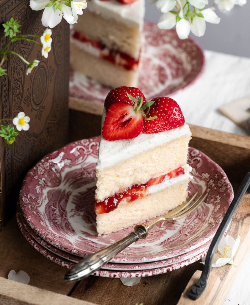 Veganer Biskuitboden