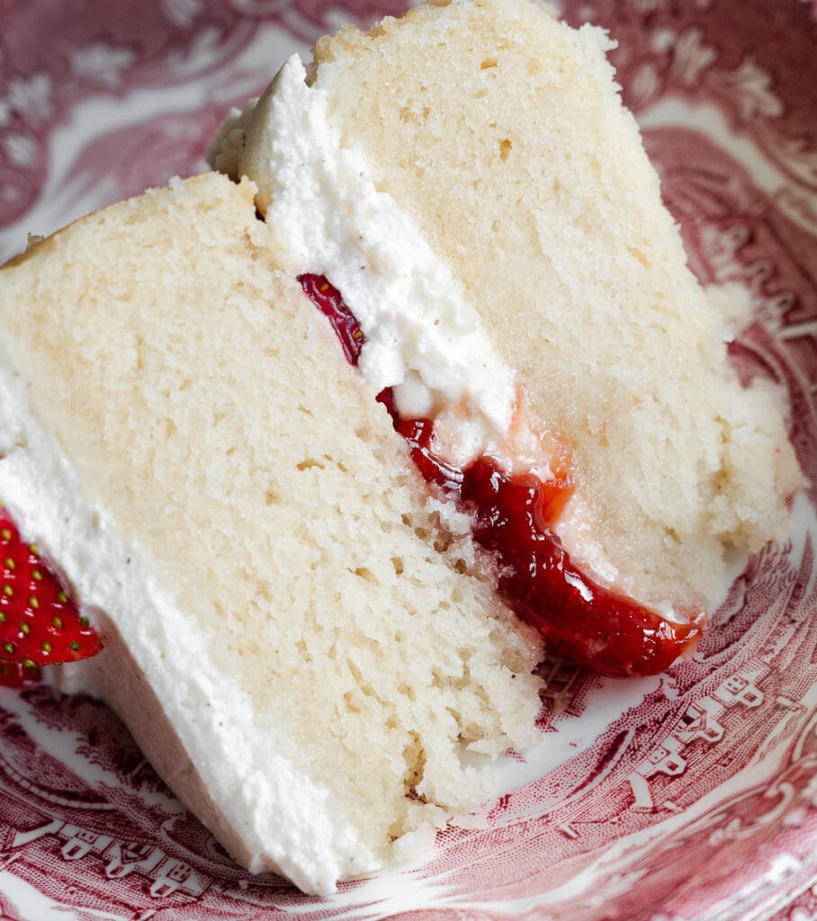 Veganer Biskuitboden