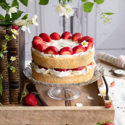 Veganer Biskuitboden